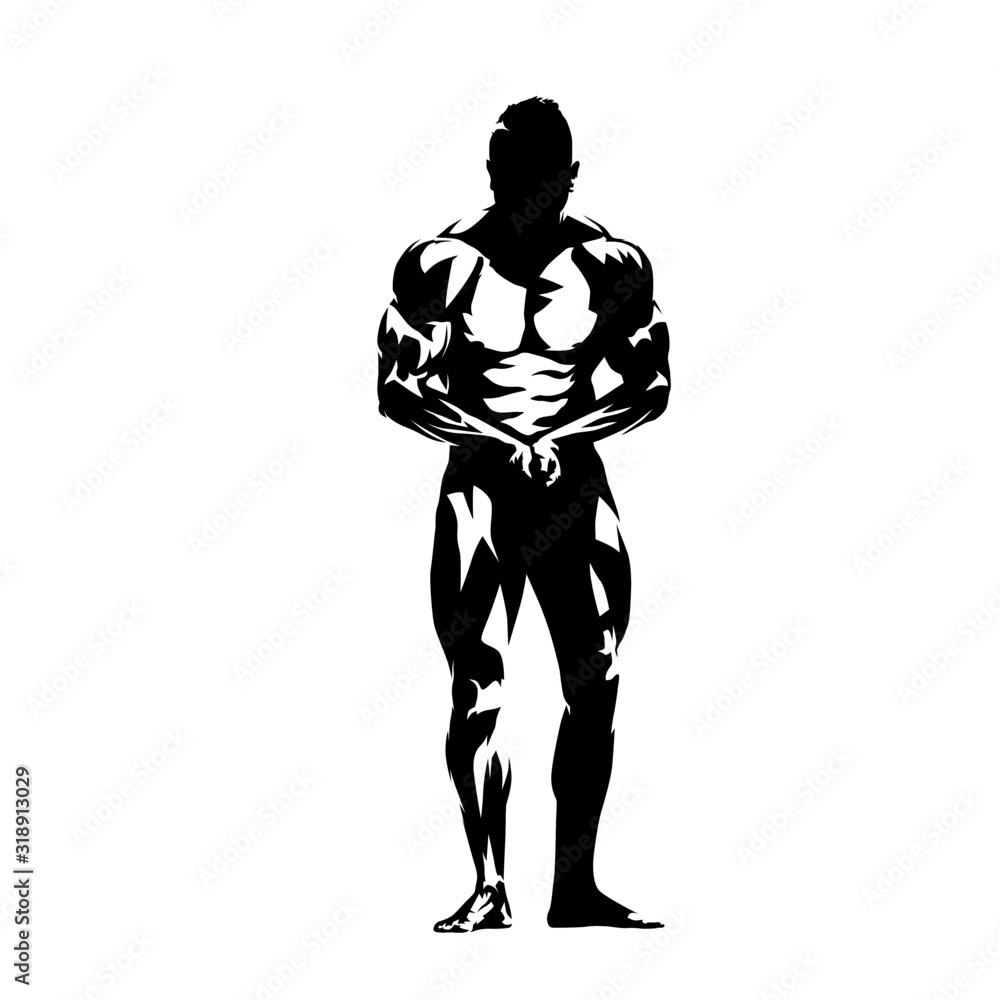 Posing bodybuilder, isolated vector silhouette, ink drawing Stock ...
