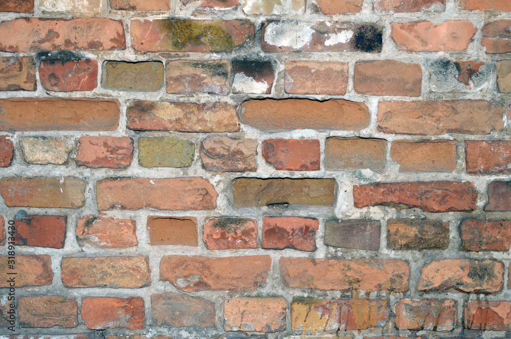 Fototapeta premium old brick wall as background