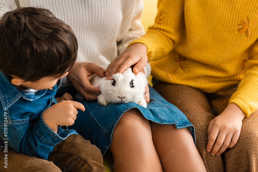 cropped view of woman with chidren touching white funny rabbit cropped view of woman with chidren touching white funny rabbit