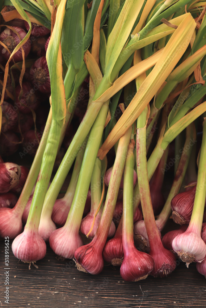 Fresh garlic on a market
