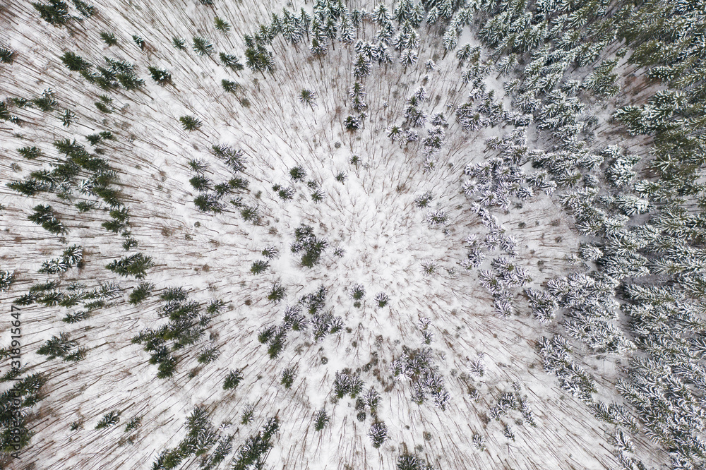 Aerial drone view of a winter landscape. Snow covered forest. Aerial drone view of a winter landscape. Snow covered forest.