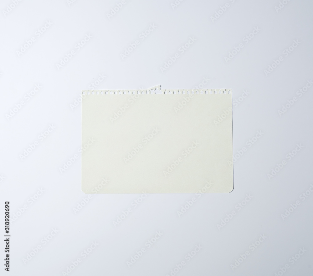white sheet of paper torn from a spiral notebook white sheet of paper torn from a spiral notebook