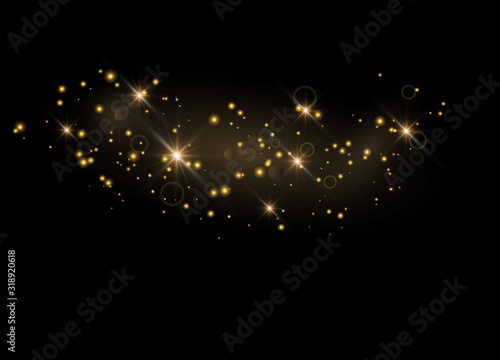 Glittering particles of fairy dust. Sparks glitter special light effect. Vector glitters on a black background.