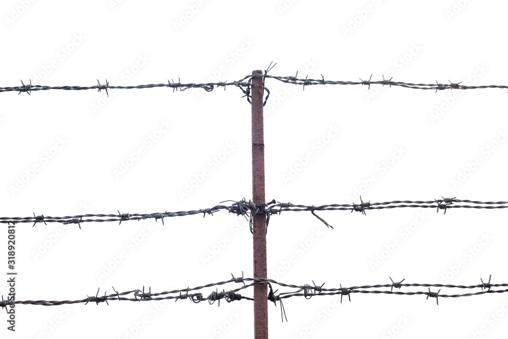 barbed wire isolated on the sky with copy space for your text barbed wire isolated on the sky with copy space for your text