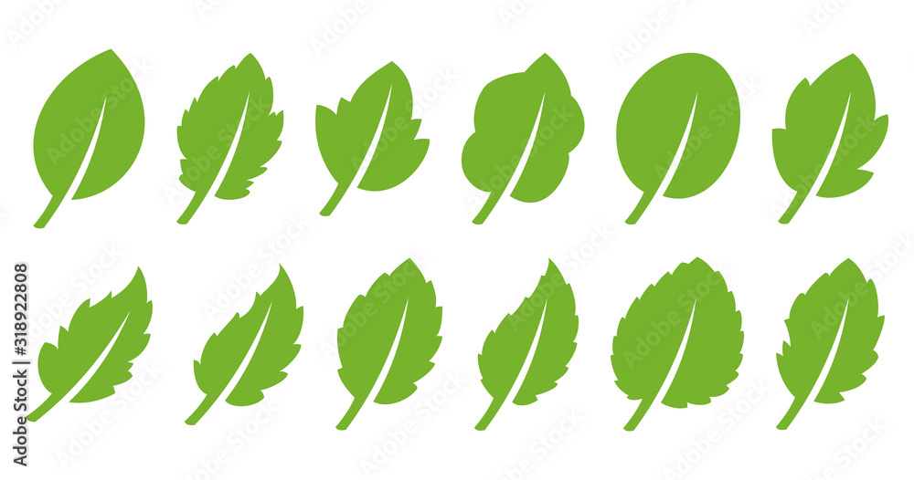 Green leaf set Green leaf set