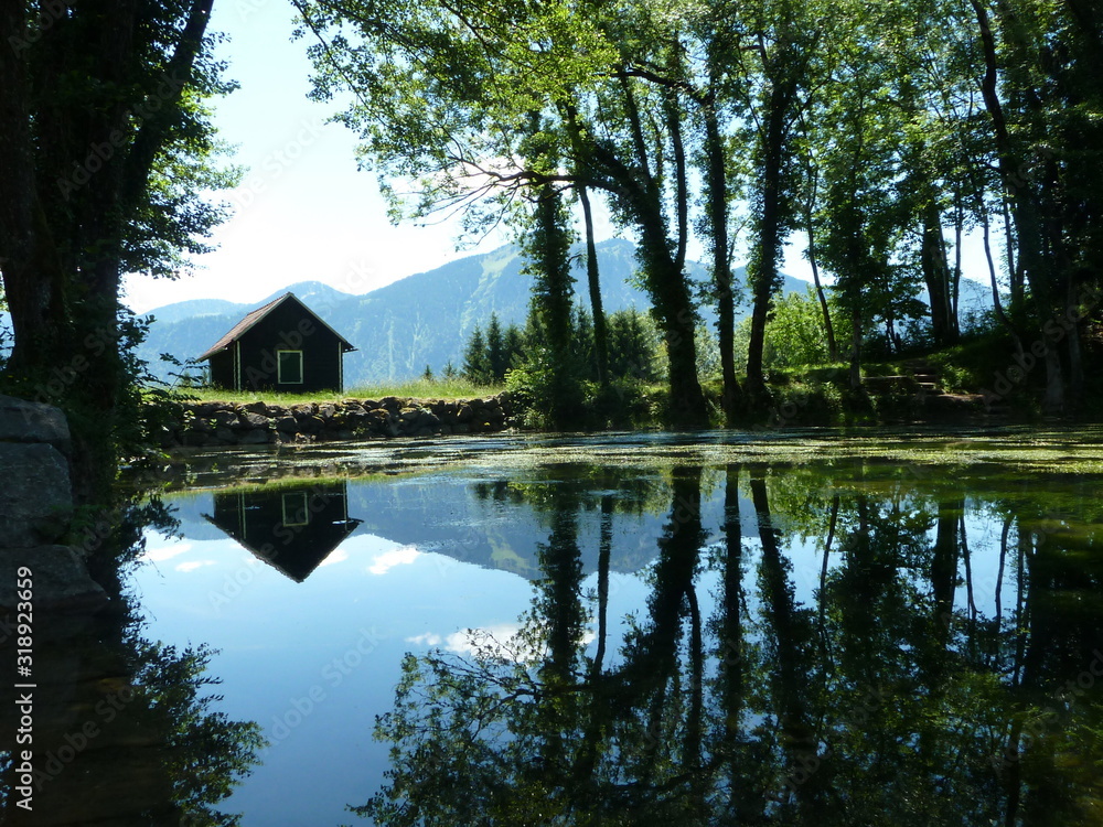 Obraz premium Spiegelung