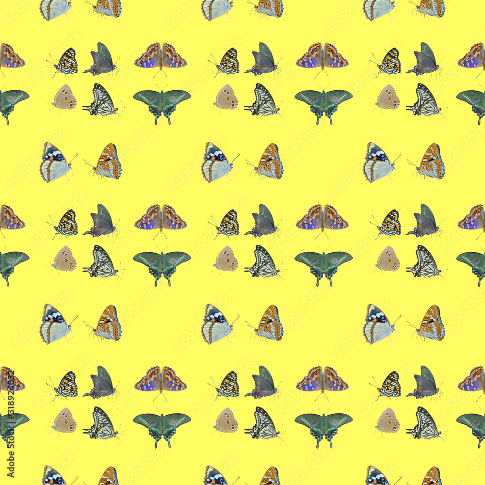 Butterflis. Seamless pattern. Butterflis. Seamless pattern.