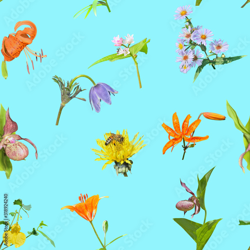 Wild flowers. Seamless pattern.