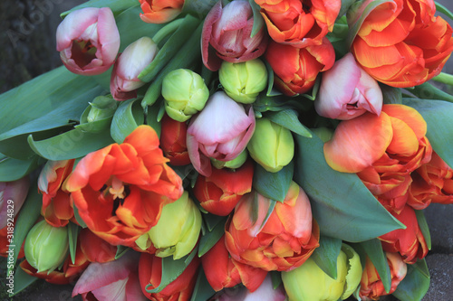 Red and orange tulips #318924829