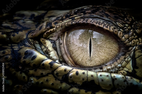 Fotobehang Cropped Eye Of Crocodile