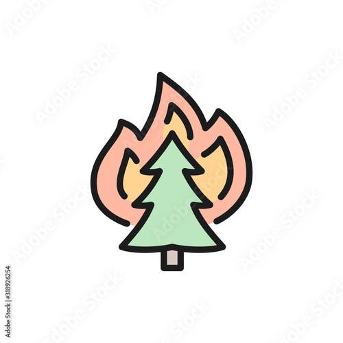 Vector fire on tree, wildfire flat color line icon.