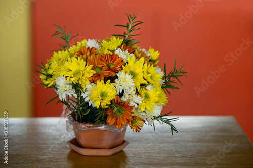Fototapeta Naklejka Na Ścianę i Meble -  Colorful chrysanthemum flowers in pots on wooden table