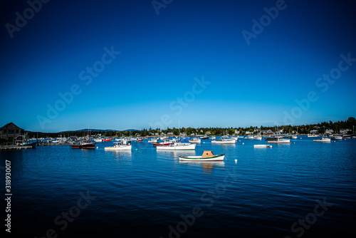 harbor boats