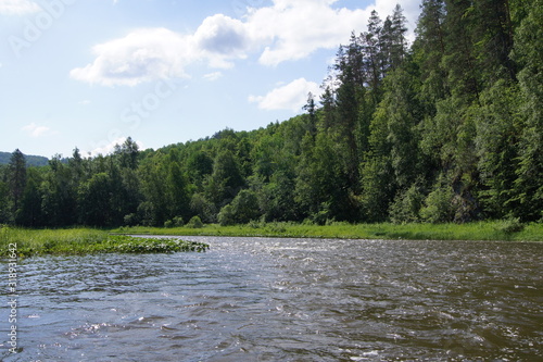 lake in the forest
