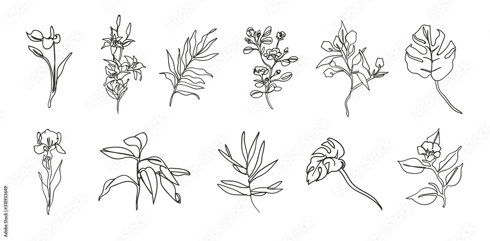 Botanical set of sketch flowers and branches. Drawn with textured, detailed outlines.