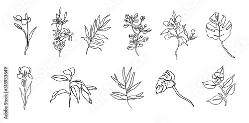 Fototapeta Botaniczny zestaw szkic kwiatów i gałęzi. Rysowane teksturowanymi, szczegółowymi konturami.