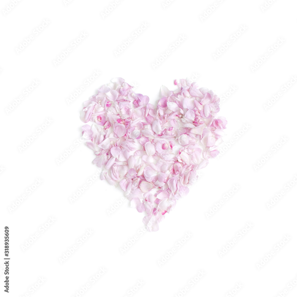 Heart with pink petals on the white background. Flat lay. Top view