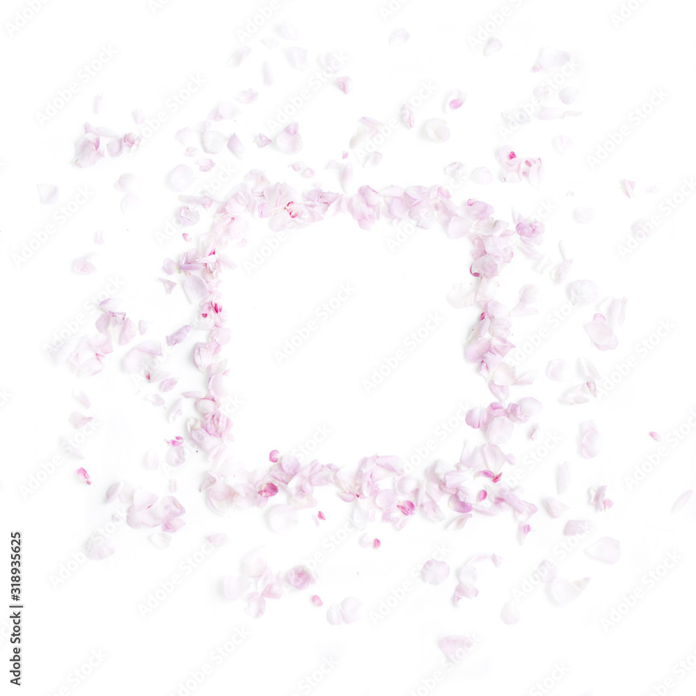 Soft pastel pink color of petals with space for text