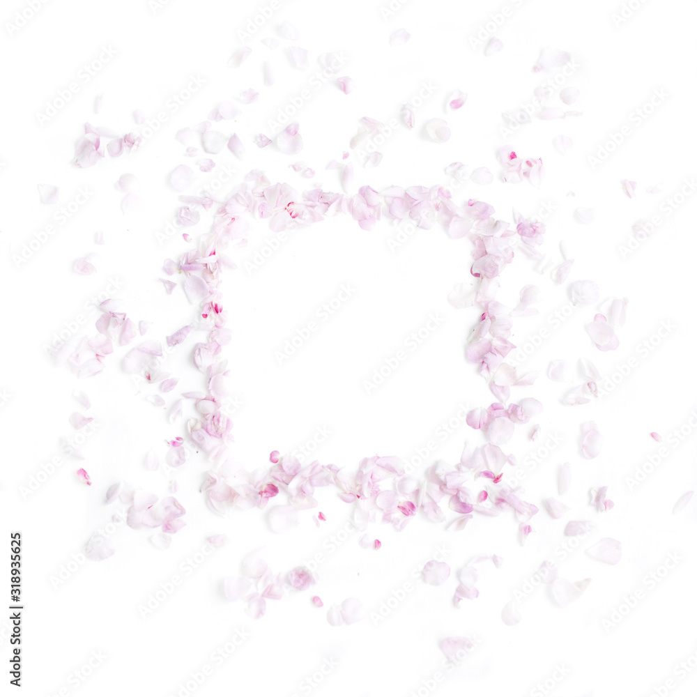 Soft pastel pink color of petals with space for text Soft pastel pink color of petals with space for text