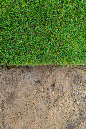 Straigh line of new freshly installed green rolled lawn grass . dirt watered soil prepared for installation at city park or backyard. Before and after laying split.Green Gardening landcaping service photo