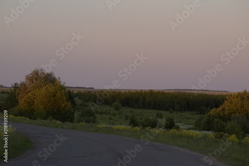 landscape with road