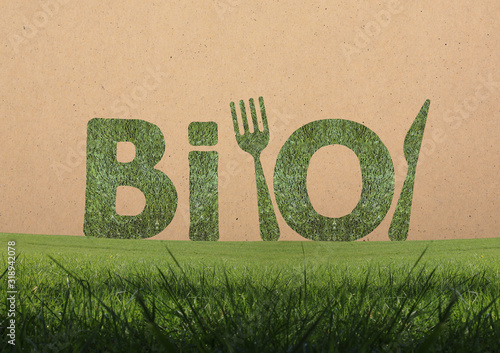 Bio, lettres bio dans l'herbe, concept photo