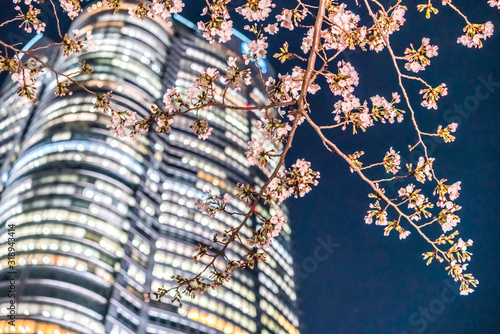 Photography Tokyo Japan - March 27, 2019: Cherry blossoms at night, Roppongi Hills Mori Towe