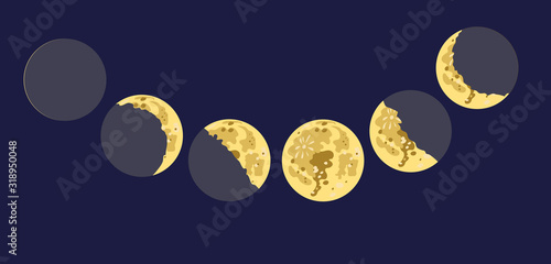 Vector drawing of the moon in seven phases of illumination