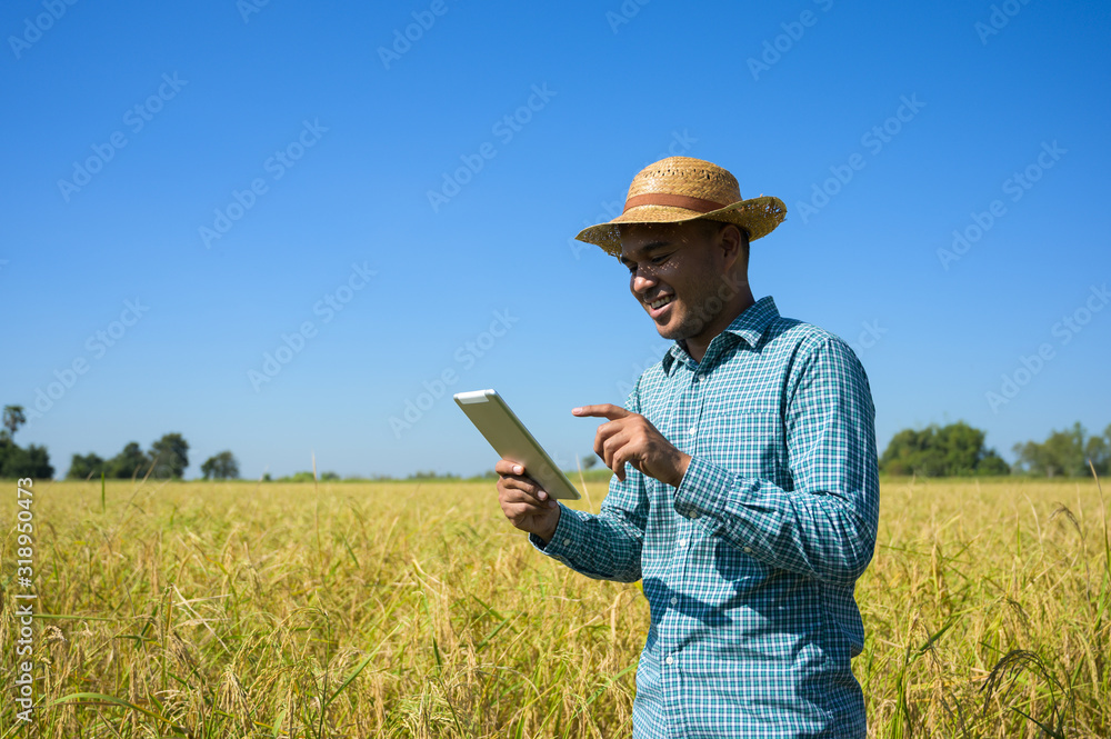 A farmer holding a tablet To check the financial results of agriculture A farmer holding a tablet To check the financial results of agriculture