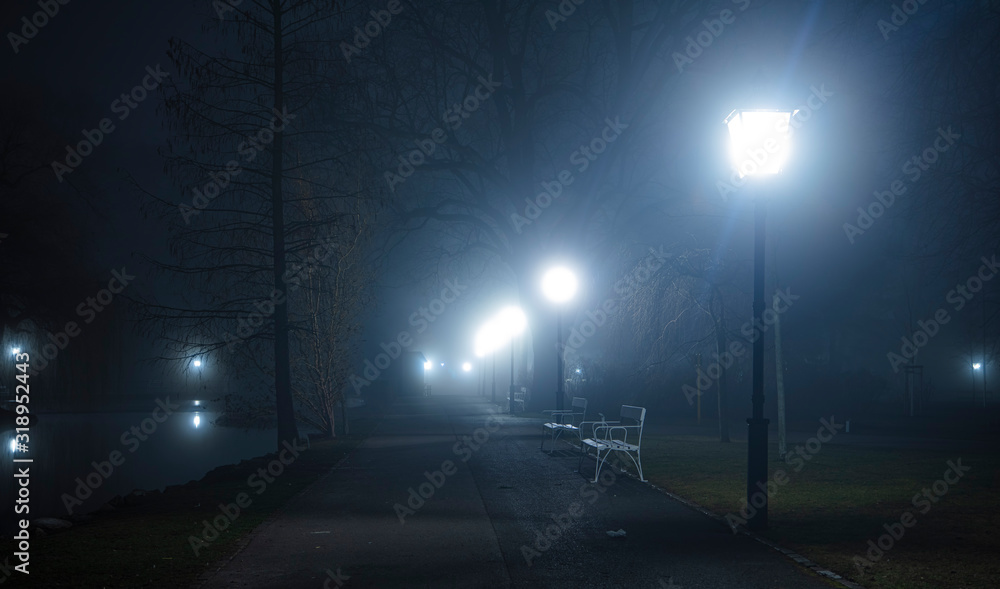 scary foggy night in the park 