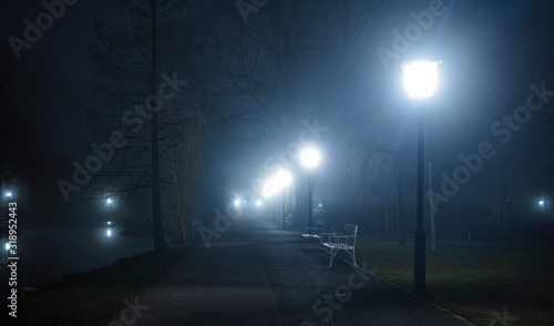 scary foggy night in the park 