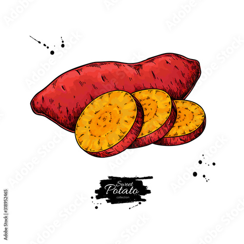 Sweet potato hand drawn vector illustration. Isolated Vegetable sliced object.