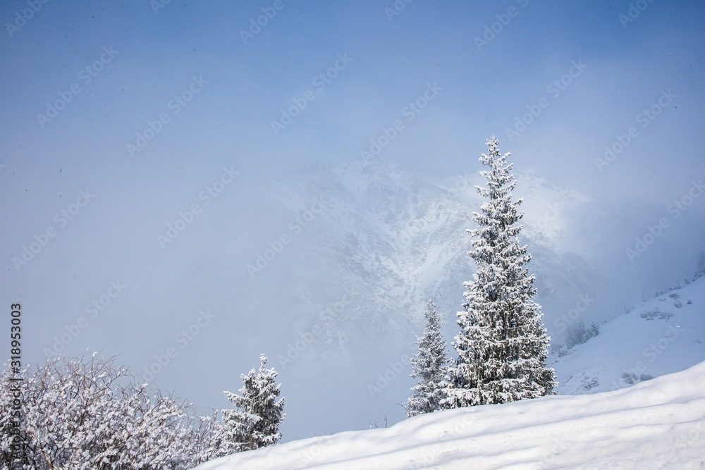 Allphotokz Chimbulak 20170124 5640 D810 Allphotokz Chimbulak 20170124 5640 D810