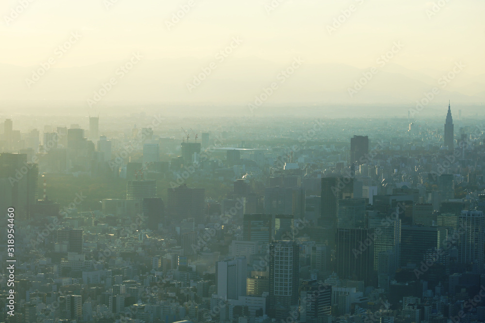Tokyo city landscape and offices building in Tokyo, Japan. Tokyo city landscape and offices building in Tokyo, Japan.