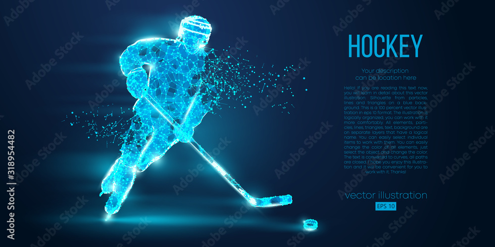 Fototapeta Abstract silhouette of a hockey player from particles. Dots, lines, triangles text color effects and background on a separate layers. Low poly neon wire outline geometric polygonal vector illustration