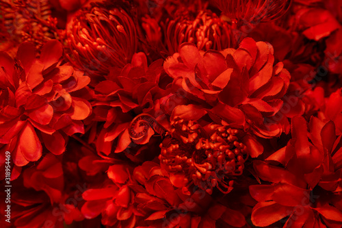 Beautiful red flowers texture color background. © ittisak