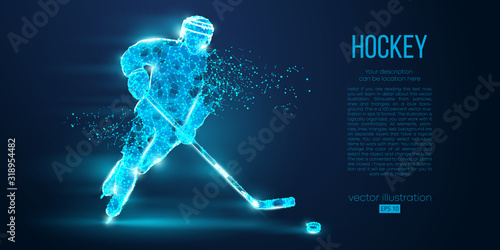 Abstract silhouette of a hockey player from particles. Dots, lines, triangles text color effects and background on a separate layers. Low poly neon wire outline geometric polygonal vector illustration © matrosovv