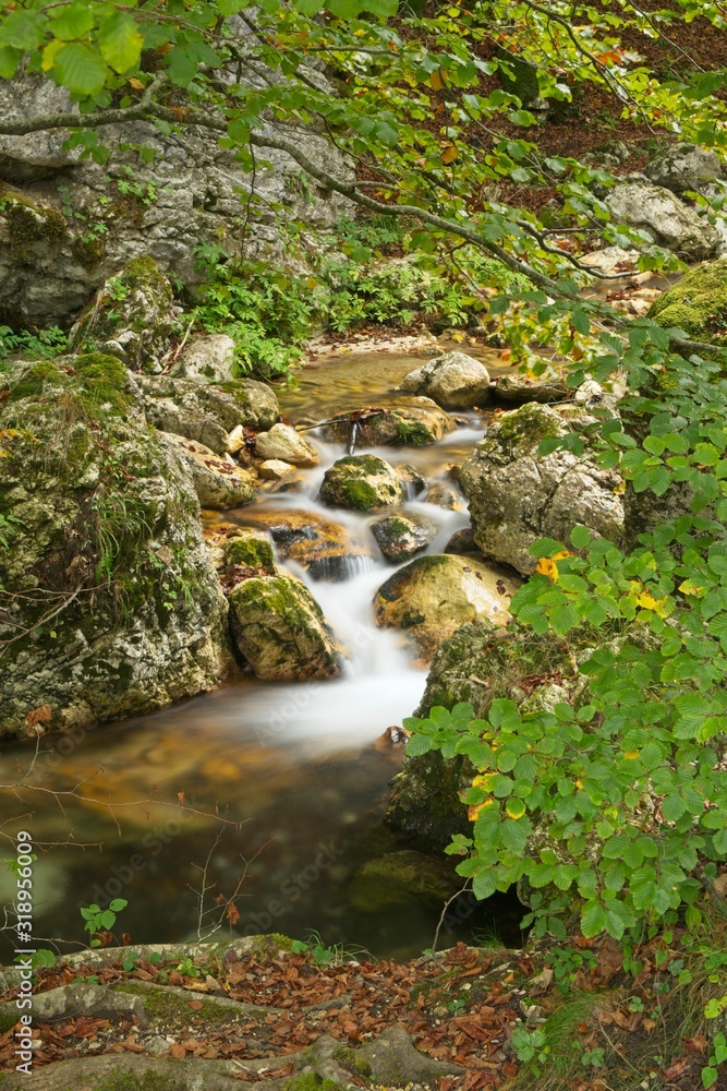 Stream at the National Park of Abruzzo, Lazio and Molise Stream at the National Park of Abruzzo, Lazio and Molise