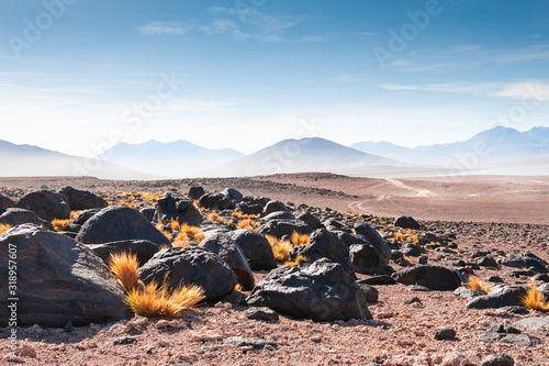 Obraz na plátne Volcanoes in the desert on plateau Altiplano, Bolivia
