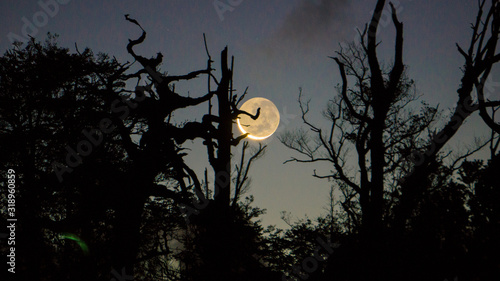 luna en chaiten
