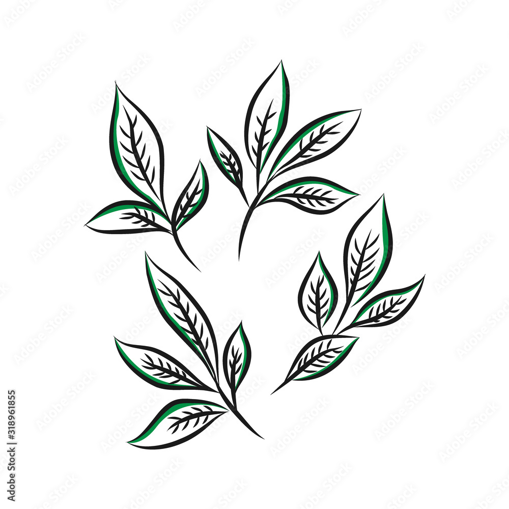 Hand drawn leaf seamless pattern.Tea vector illustration Hand drawn leaf seamless pattern.Tea vector illustration