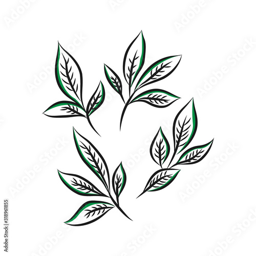 Hand drawn leaf seamless pattern.Tea vector illustration © Taawon