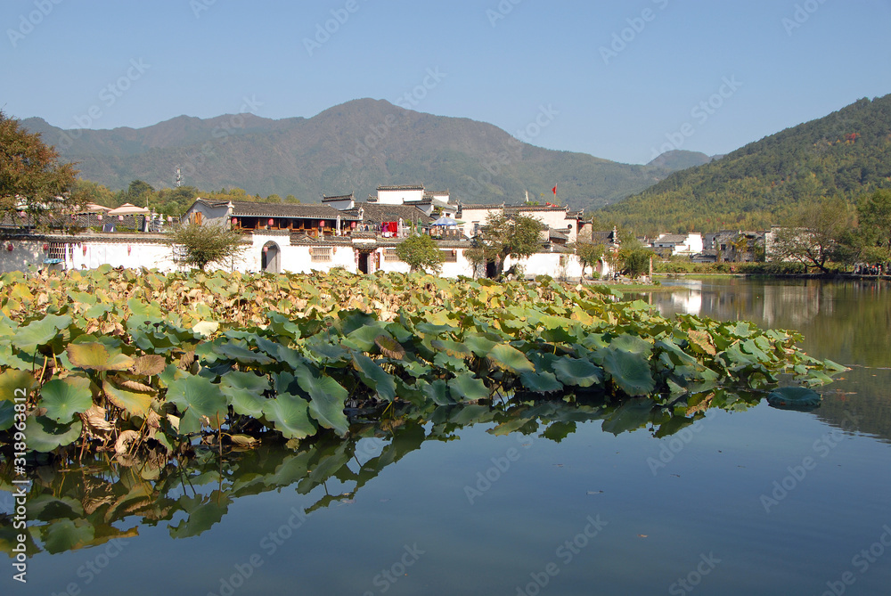 Hongcun Ancient Town in Anhui Province, China. The old white buildings in Hongcun by the water of Nanhu Lake with lilies in the foreground. The ancient town of Hongcun in China with forested hills.