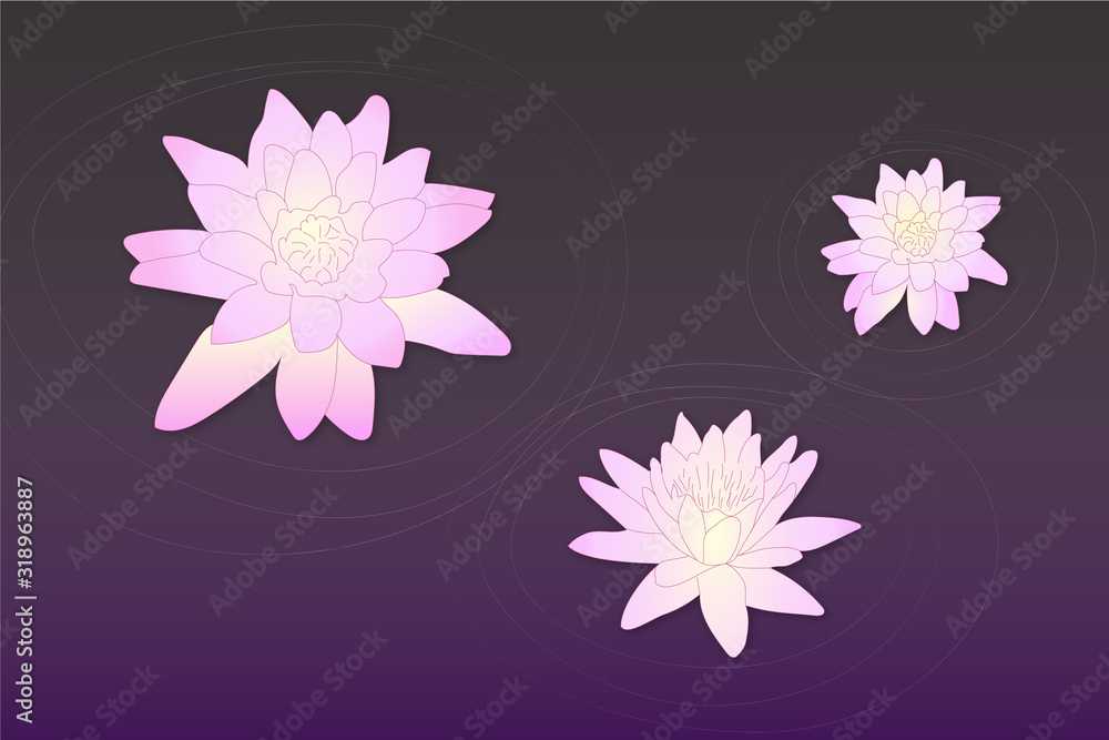 Vector pink lotus flowers on dark purple water
