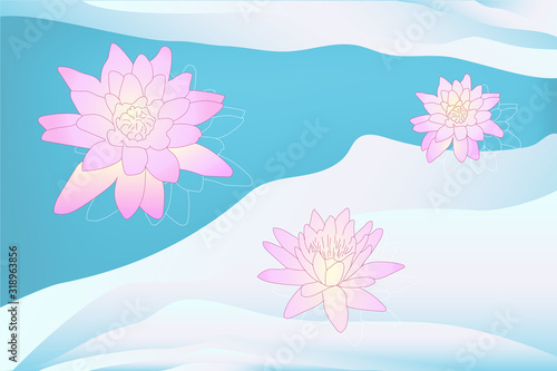 Colorful vector pink lotus on blue gradient water