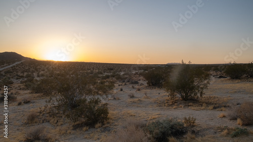 sunset on the Johsua tree national park desert, california