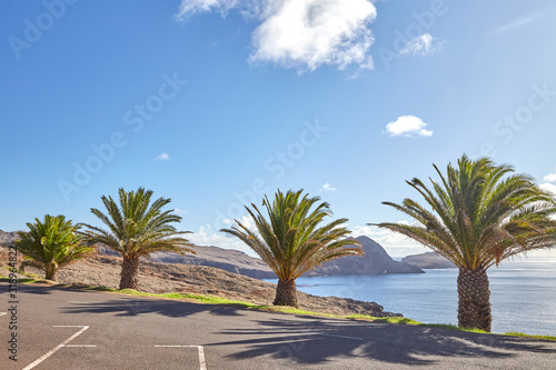 Shot of the Madeira  Portugal  landscape in perfect weather