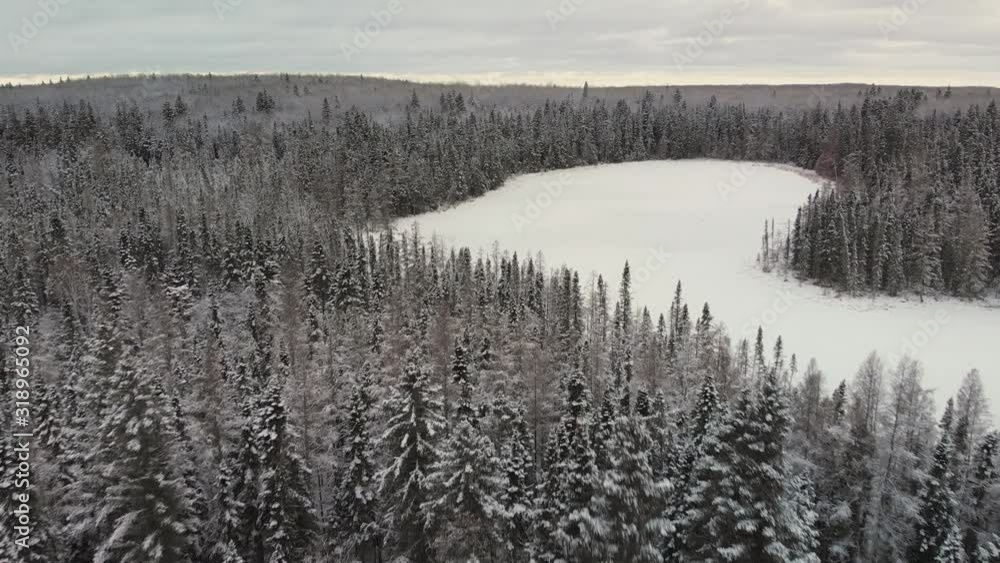 Drone flight above a forest winter landscape. Evergreen trees line the shoreline of a small frozen lake with grey clouds on the horizon. Drone flight above a forest winter landscape. Evergreen trees line the shoreline of a small frozen lake with grey clouds on the horizon.