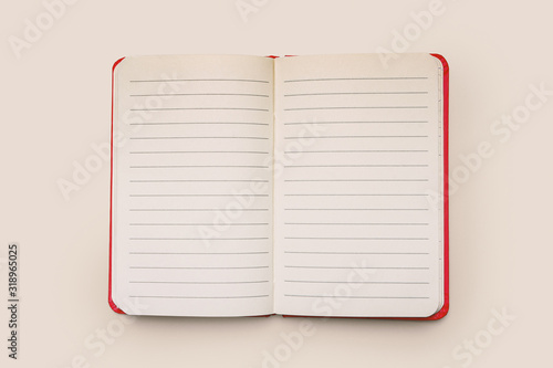 Paper Lined Diary. Blank Two Pages Notebook on Light Background.