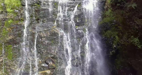 Wallpaper Mural Lots of Vegetation, Plants, Moss on the Rocks at Las Golondrinas Waterfalls in Antioquia, Colombia  Torontodigital.ca